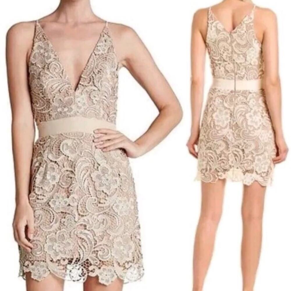 Dress‎ the Population Lace Mini Dress Ava